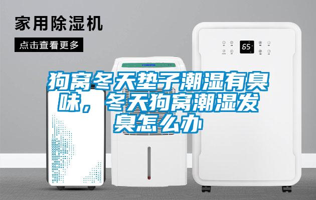 狗窩冬天墊子潮濕有臭味，冬天狗窩潮濕發(fā)臭怎么辦