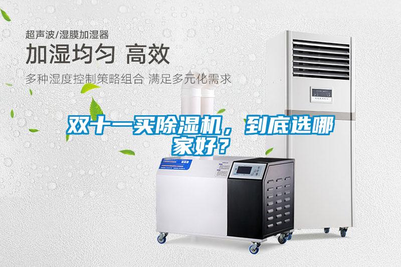 雙十一買除濕機(jī)，到底選哪家好？