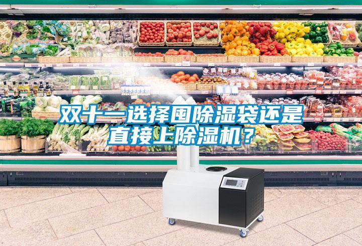 雙十一選擇囤除濕袋還是直接上除濕機(jī)？