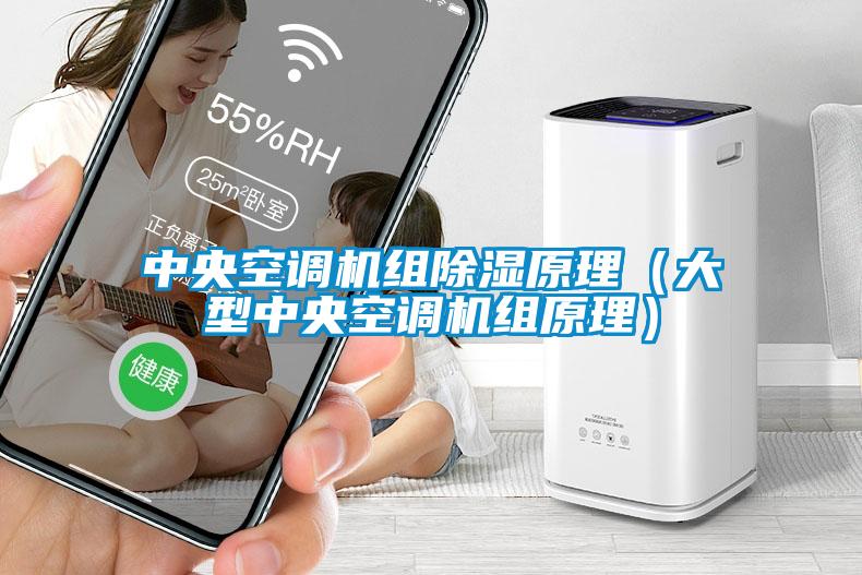 中央空調(diào)機組除濕原理（大型中央空調(diào)機組原理）