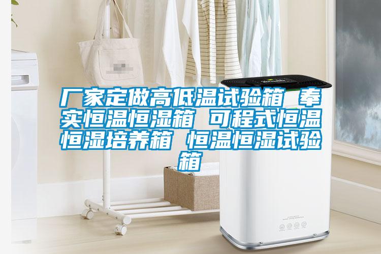 廠(chǎng)家定做高低溫試驗(yàn)箱 奉實(shí)恒溫恒濕箱 可程式恒溫恒濕培養(yǎng)箱 恒溫恒濕試驗(yàn)箱