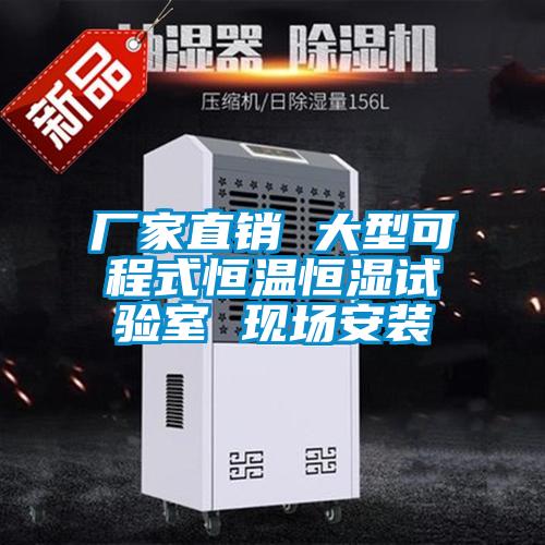 廠(chǎng)家直銷(xiāo) 大型可程式恒溫恒濕試驗(yàn)室 現(xiàn)場(chǎng)安裝