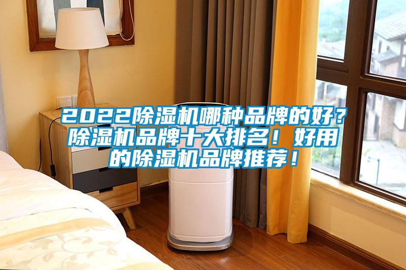 2022除濕機(jī)哪種品牌的好？除濕機(jī)品牌十大排名！好用的除濕機(jī)品牌推薦！