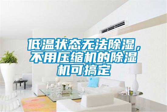 低溫狀態(tài)無法除濕，不用壓縮機(jī)的除濕機(jī)可搞定