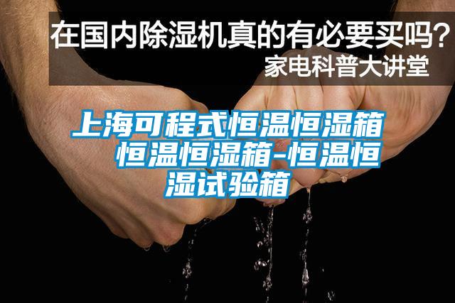 上?？沙淌胶銣睾銤裣? 恒溫恒濕箱-恒溫恒濕試驗(yàn)箱