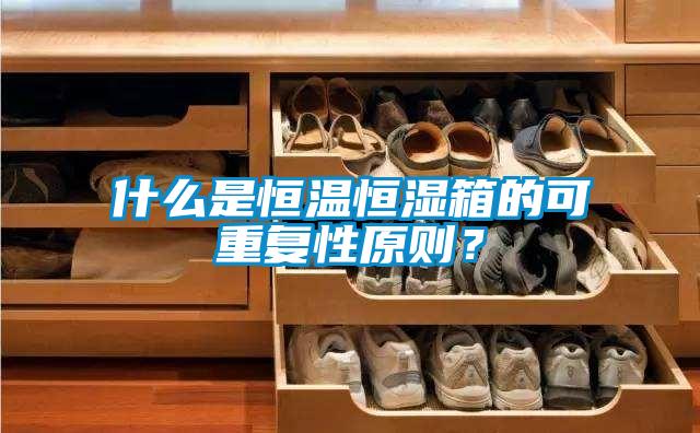 什么是恒溫恒濕箱的可重復(fù)性原則？