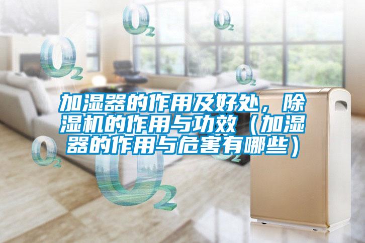 加濕器的作用及好處，除濕機(jī)的作用與功效（加濕器的作用與危害有哪些）