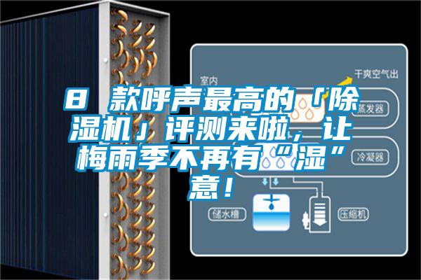 8 款呼聲最高的「除濕機」評測來啦，讓梅雨季不再有“濕”意！