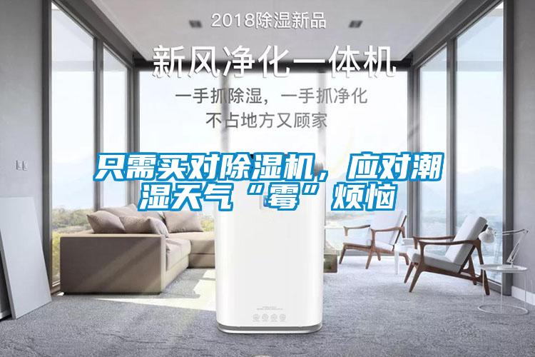 只需買對除濕機(jī)，應(yīng)對潮濕天氣“霉”煩惱