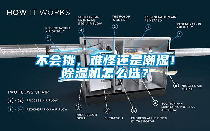 不會挑，難怪還是潮濕！除濕機怎么選？