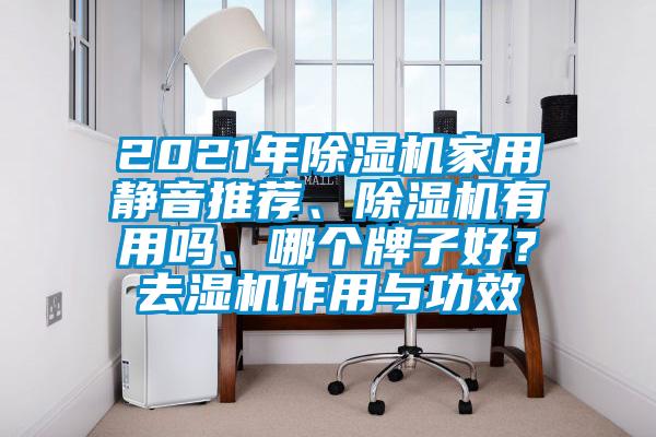 2021年除濕機(jī)家用靜音推薦、除濕機(jī)有用嗎、哪個(gè)牌子好？去濕機(jī)作用與功效