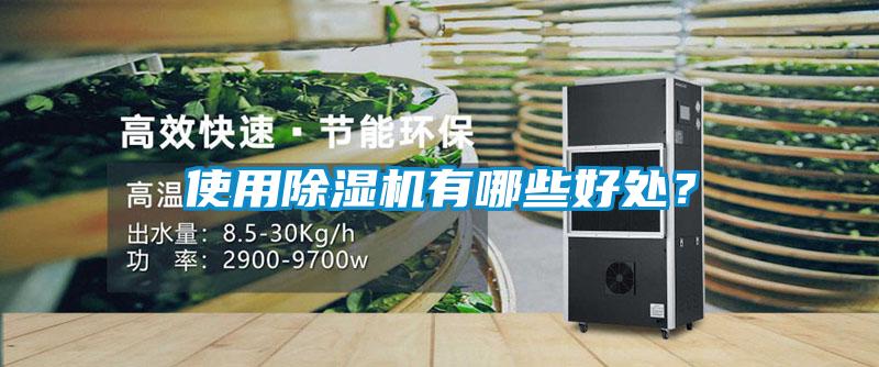 使用除濕機(jī)有哪些好處？