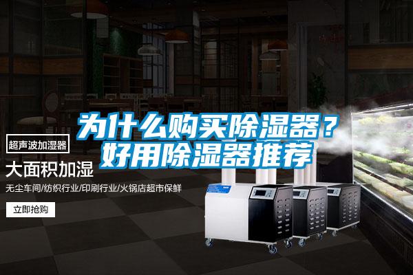 為什么購買除濕器？好用除濕器推薦