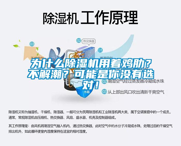 為什么除濕機(jī)用著雞肋？不解潮？可能是你沒有選對(duì)！