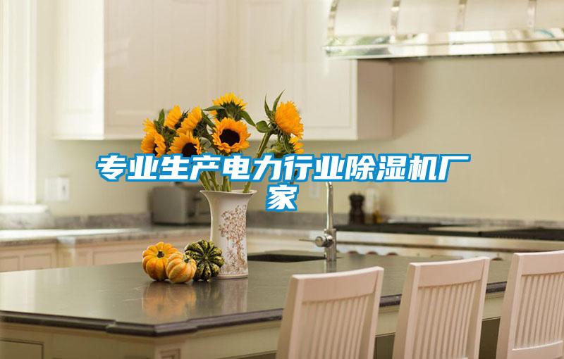 專(zhuān)業(yè)生產(chǎn)電力行業(yè)除濕機(jī)廠(chǎng)家