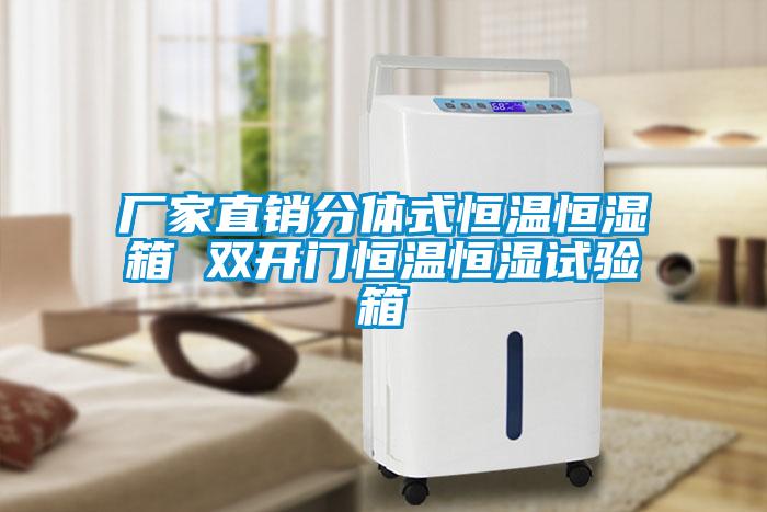 廠家直銷分體式恒溫恒濕箱 雙開(kāi)門(mén)恒溫恒濕試驗(yàn)箱
