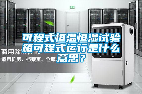可程式恒溫恒濕試驗(yàn)箱可程式運(yùn)行是什么意思？