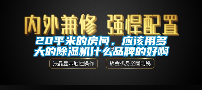 20平米的房間，應(yīng)該用多大的除濕機(jī)什么品牌的好啊