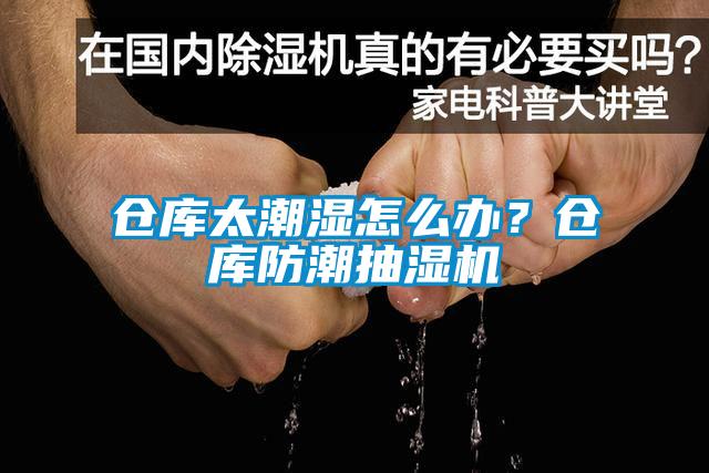 倉庫太潮濕怎么辦？倉庫防潮抽濕機