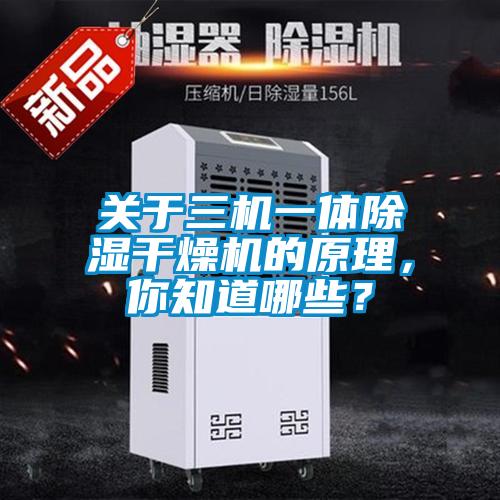 關(guān)于三機一體除濕干燥機的原理，你知道哪些？