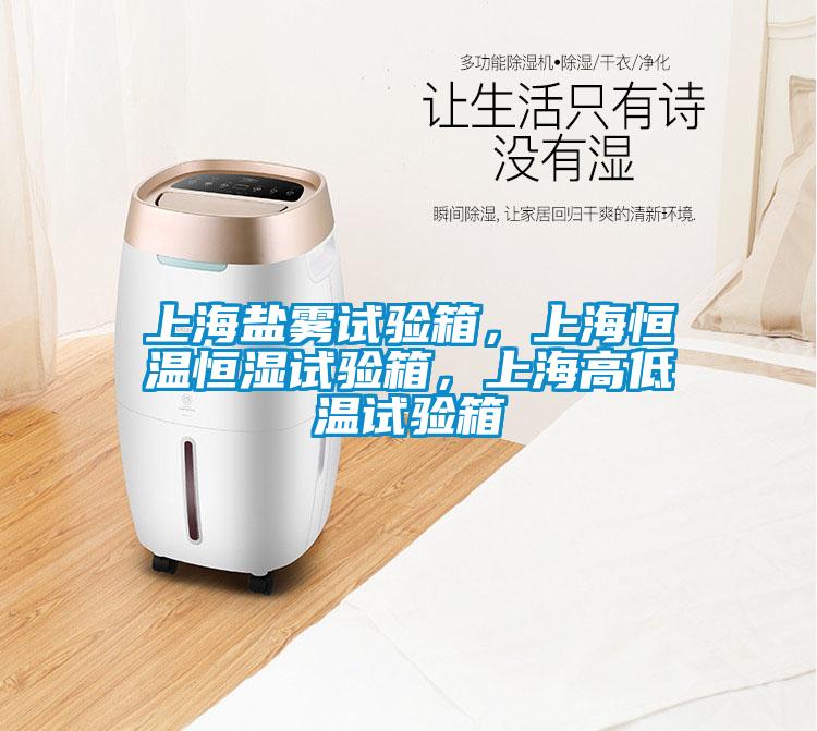 上海鹽霧試驗(yàn)箱，上海恒溫恒濕試驗(yàn)箱，上海高低溫試驗(yàn)箱