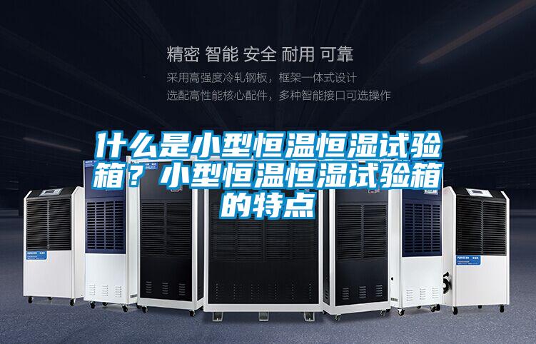 什么是小型恒溫恒濕試驗箱？小型恒溫恒濕試驗箱的特點
