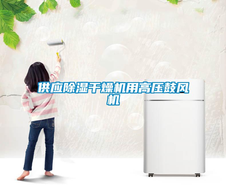 供應(yīng)除濕干燥機用高壓鼓風機