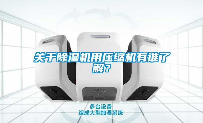 關(guān)于除濕機用壓縮機有誰了解？