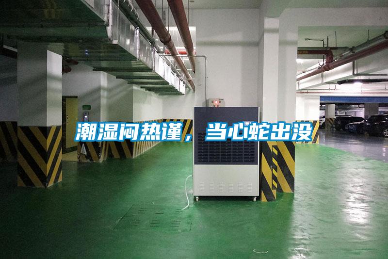 潮濕悶熱謹(jǐn)，當(dāng)心蛇出沒