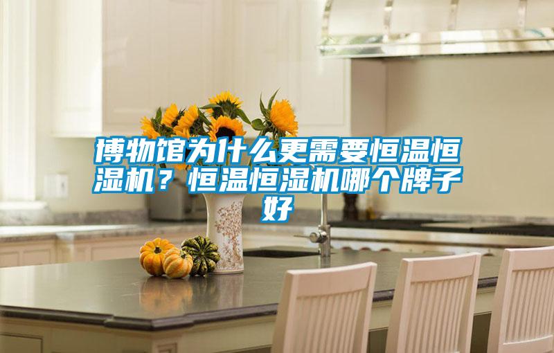 博物館為什么更需要恒溫恒濕機(jī)？恒溫恒濕機(jī)哪個(gè)牌子好