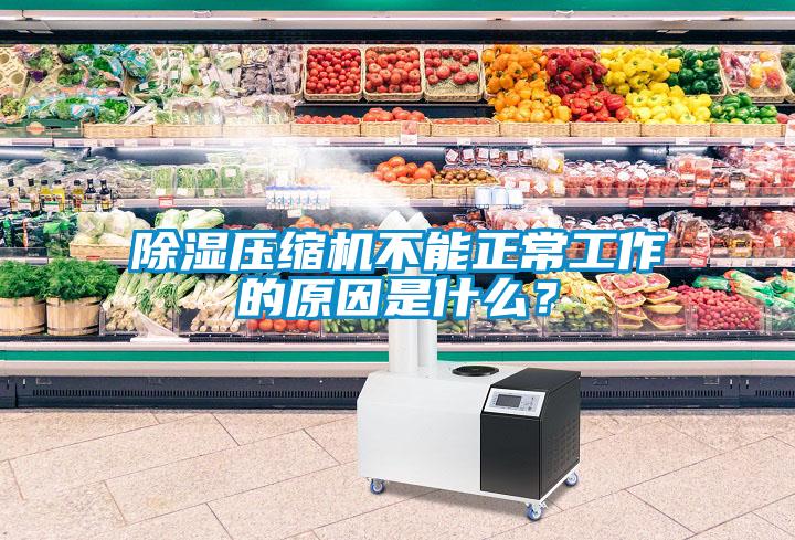 除濕壓縮機(jī)不能正常工作的原因是什么？