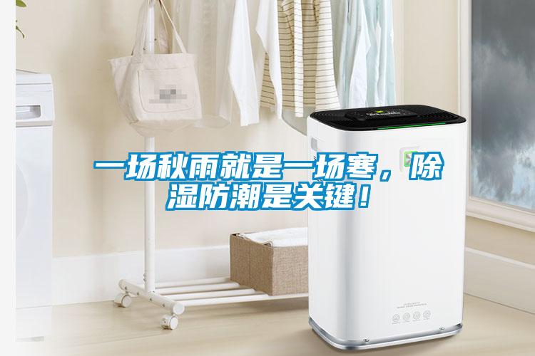 一場秋雨就是一場寒，除濕防潮是關(guān)鍵！