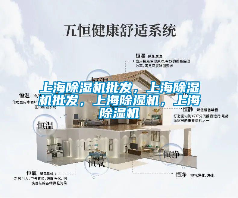 上海除濕機(jī)批發(fā)，上海除濕機(jī)批發(fā)，上海除濕機(jī)，上海除濕機(jī)