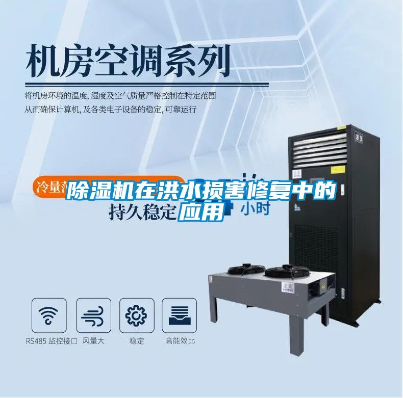 除濕機在洪水損害修復中的應(yīng)用