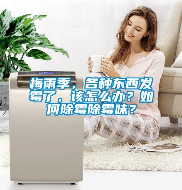 梅雨季，各種東西發(fā)霉了，該怎么辦？如何除霉除霉味？