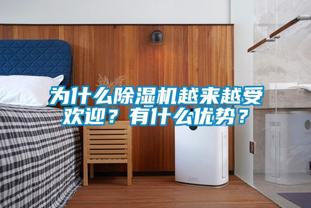 為什么除濕機(jī)越來越受歡迎？有什么優(yōu)勢？