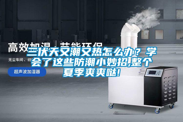 三伏天又潮又熱怎么辦？學(xué)會了這些防潮小妙招,整個夏季爽爽噠!