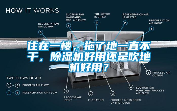 住在一樓，拖了地一直不干，除濕機(jī)好用還是吹地機(jī)好用？