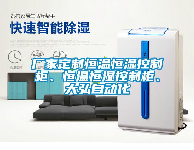 廠家定制恒溫恒濕控制柜、恒溫恒濕控制柜、大弘自動化