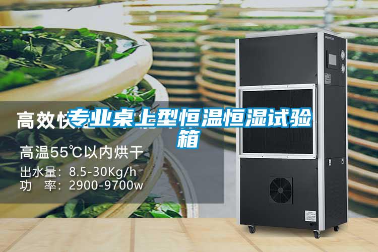 專(zhuān)業(yè)桌上型恒溫恒濕試驗(yàn)箱
