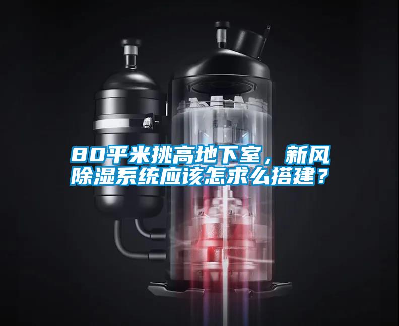 80平米挑高地下室，新風(fēng)除濕系統(tǒng)應(yīng)該怎求么搭建？