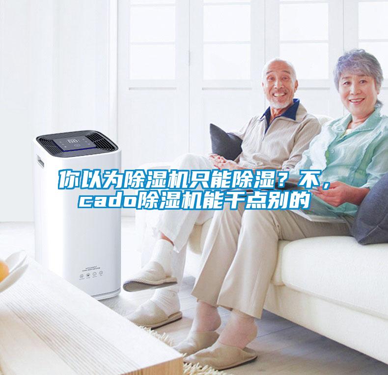 你以為除濕機(jī)只能除濕？不，cado除濕機(jī)能干點(diǎn)別的