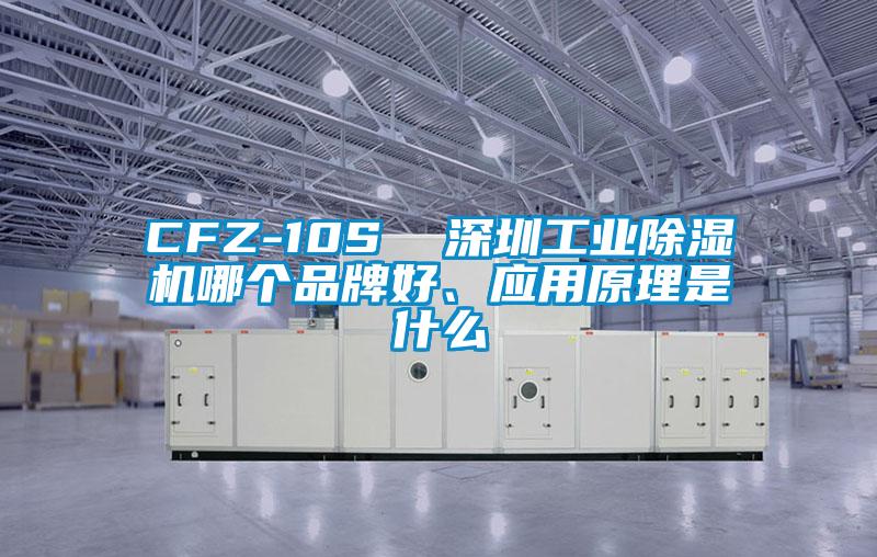 CFZ-10S  深圳工業(yè)除濕機(jī)哪個(gè)品牌好、應(yīng)用原理是什么