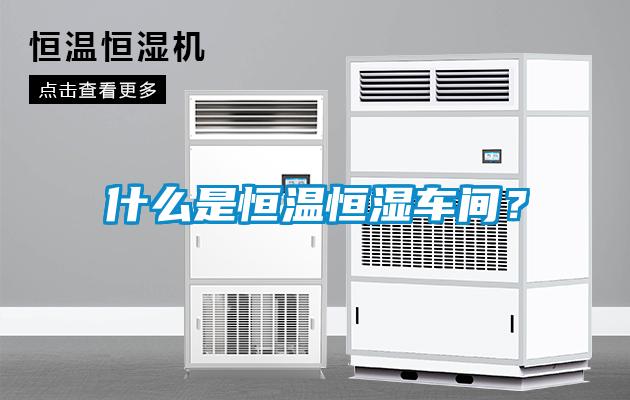 什么是恒溫恒濕車(chē)間？