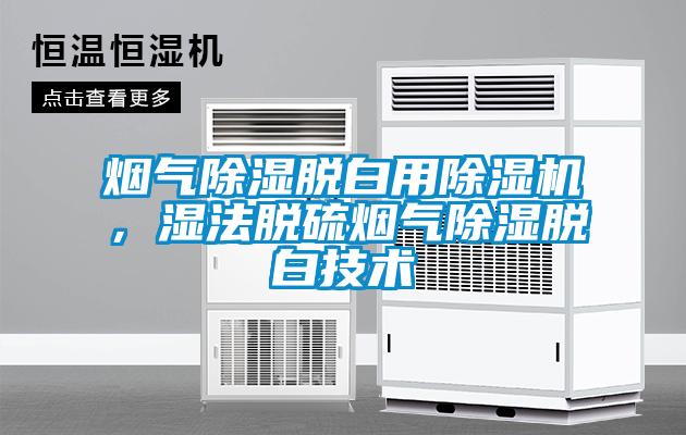 煙氣除濕脫白用除濕機，濕法脫硫煙氣除濕脫白技術