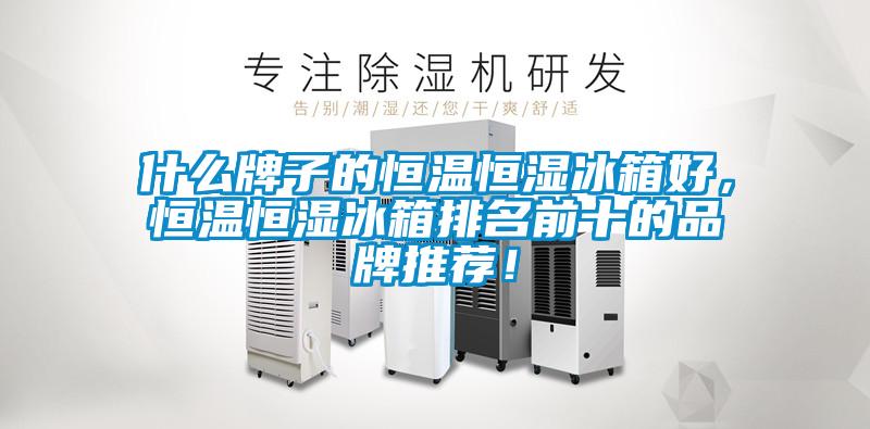 什么牌子的恒溫恒濕冰箱好，恒溫恒濕冰箱排名前十的品牌推薦！