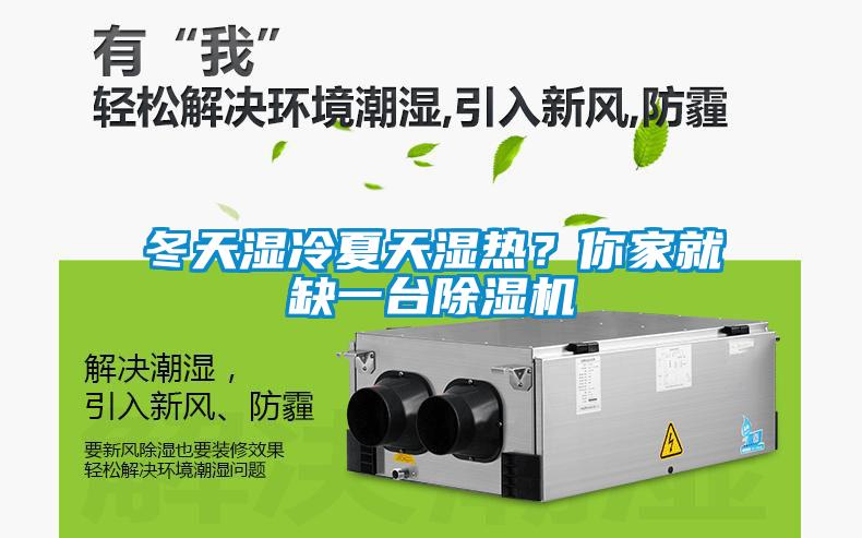 冬天濕冷夏天濕熱？你家就缺一臺除濕機
