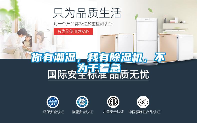 你有潮濕，我有除濕機(jī)，不為干著急