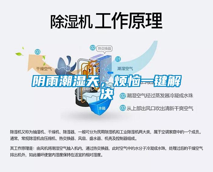 陰雨潮濕天，煩惱一鍵解決
