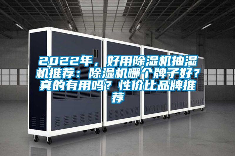 2022年，好用除濕機(jī)抽濕機(jī)推薦：除濕機(jī)哪個牌子好？真的有用嗎？性價比品牌推薦